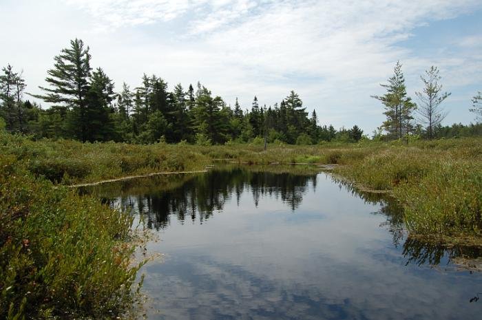 Kanutrip Naturreservat Sporting Lake_58